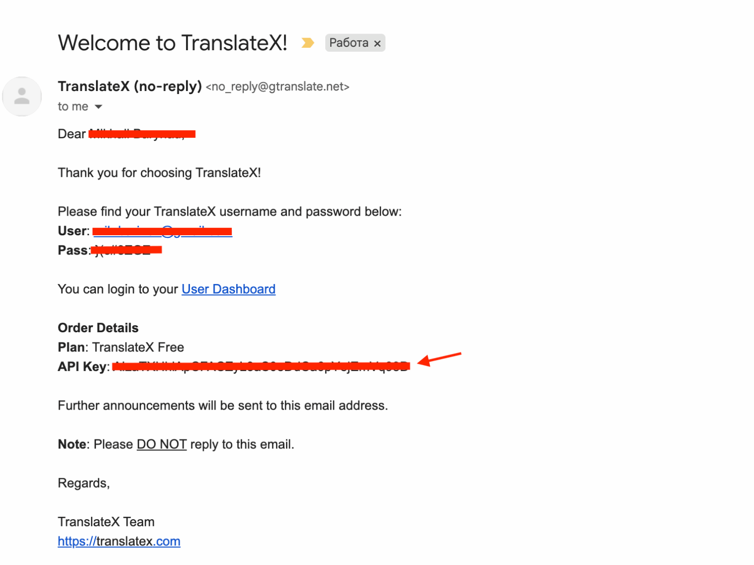 Email from TranslateX with API key